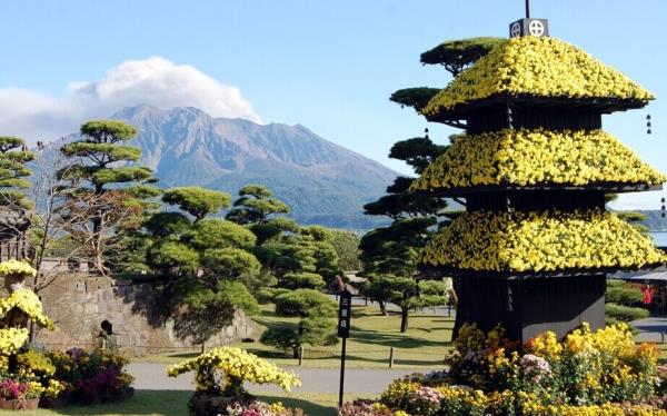 Sengan-en_chrysanthemum_Festival.jpg